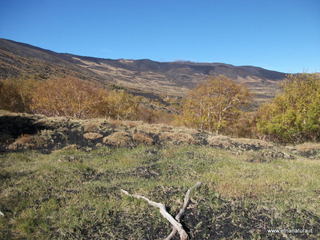 nte Zappinazzo-04-11-2012 10-55-47